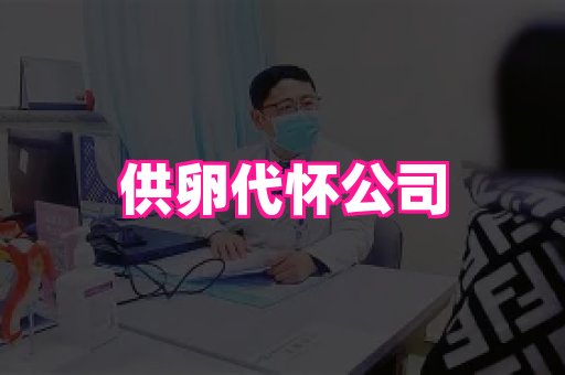 123试管孕网 1